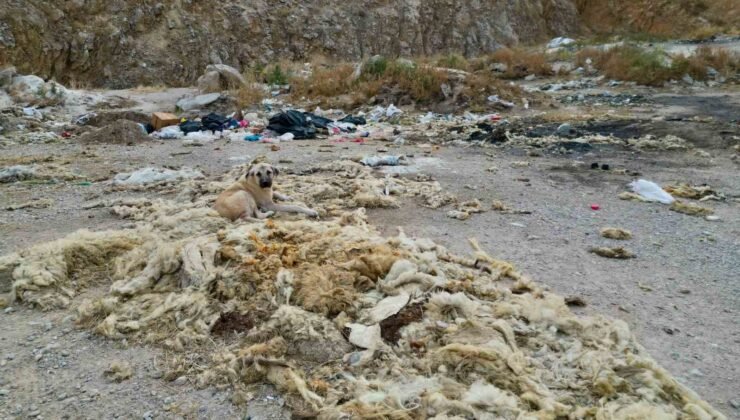 Çöplüğe dönen kum ocağında çevre felaketi yaşanıyor