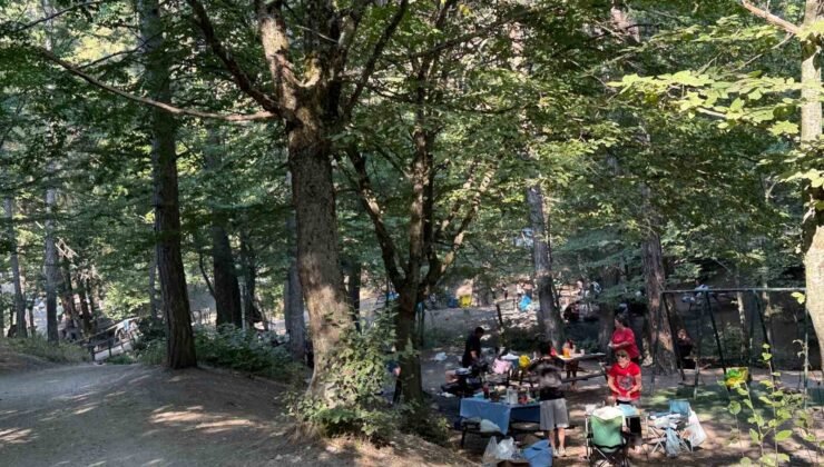 Doğasıyla hayran bırakan Beşikderesi Şelalesi’nde hafta sonu yoğunluğu