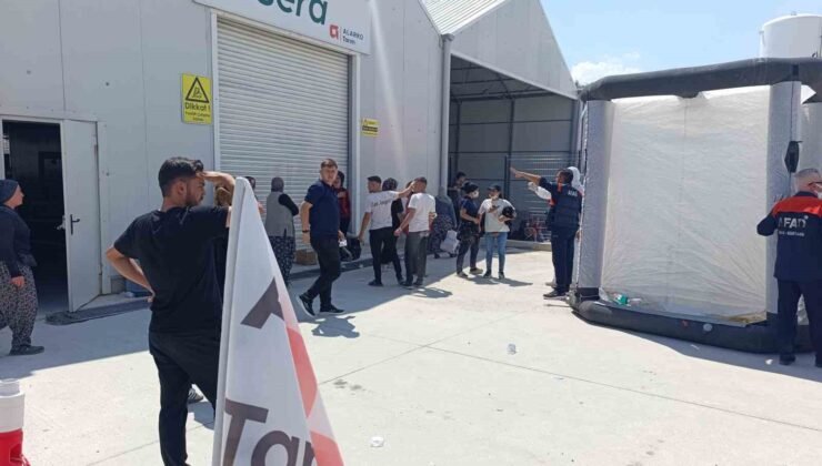 Domates serasında zehirlenenlerin sayısı 33’e yükseldi