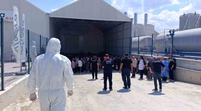 Domates serasında zehirlenme: 10 çalışan hastaneye kaldırıldı