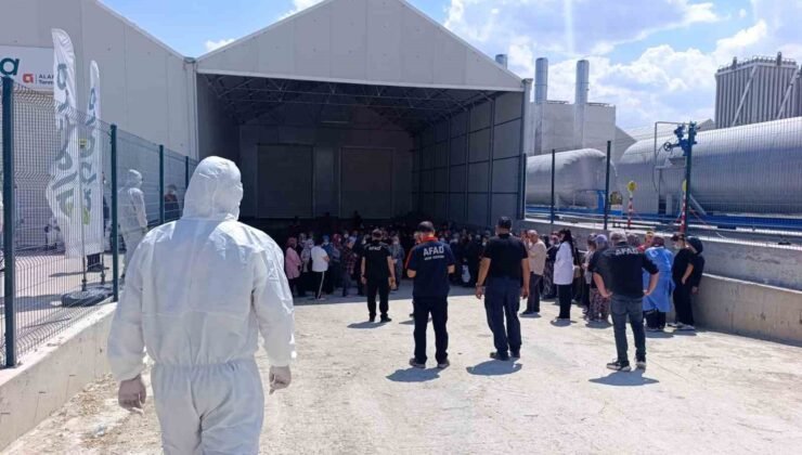 Domates serasında zehirlenme: 10 çalışan hastaneye kaldırıldı