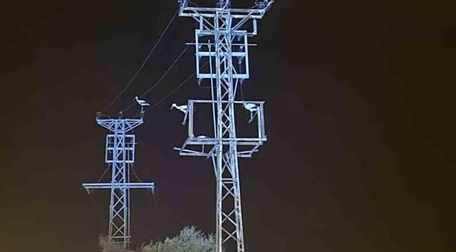 Dönüş yolundaki leyler bazı bölgeleri elektriksiz bıraktı