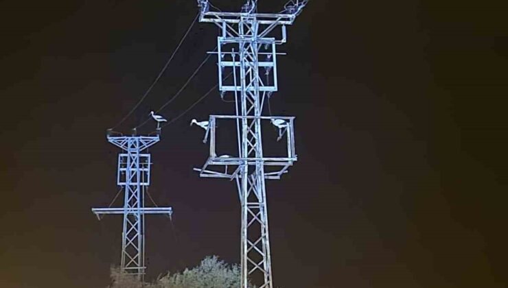 Dönüş yolundaki leyler bazı bölgeleri elektriksiz bıraktı