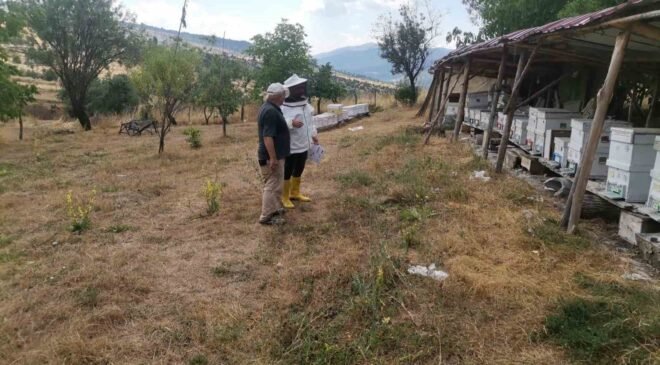 Emet’te arılı kovan tespit çalışması