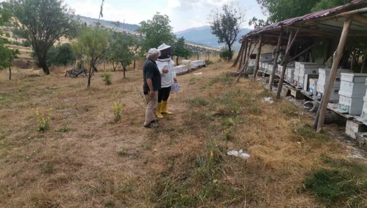 Emet’te arılı kovan tespit çalışması