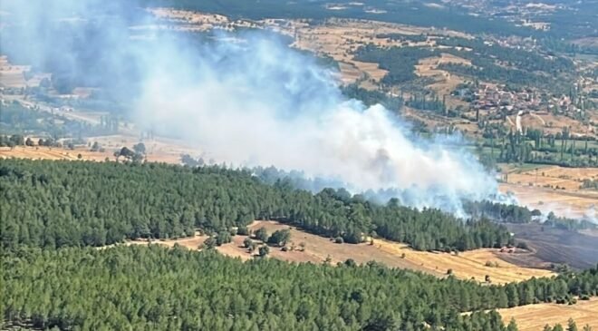 Emet’te ormanlık alana sıçrayan yangın kontrol altına alındı