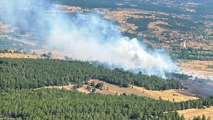Emet’te ormanlık alana sıçrayan yangın kontrol altına alındı