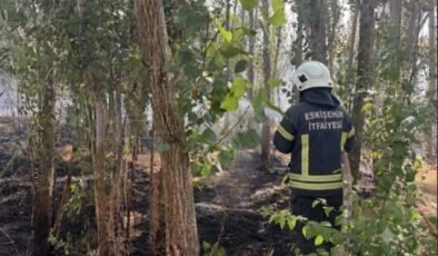 Emirdağ’da anız ve ağaçlık alanda yangın