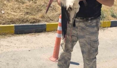Eskişehir Büyükşehir Belediyesi çöplüğünde bacağı kırık halde bulunan leylek 4 gündür yardım bekliyor