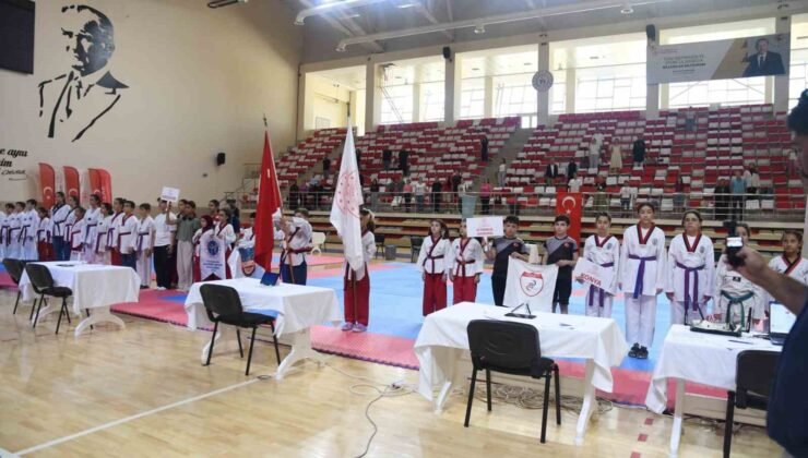 Eskişehir’de 2’inci İller Arası Taekwondo Poomsae Turnuvası heyecanı