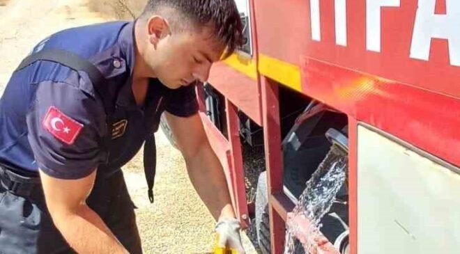 Eskişehir’de alevlerin arasında kalan kaplumbağayı itfaiye kurtardı