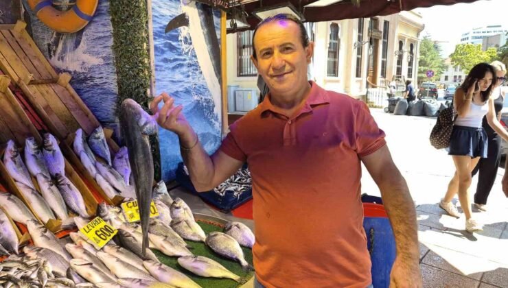 Eskişehir’de balık tezgahları yeni sezon için hazırlanıyor