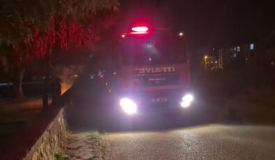 Eskişehir’de bir parkta kasten çıkarılan yangın ekipleri teyakkuza geçirdi