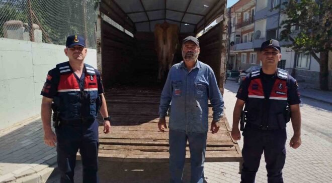 Eskişehir’de çalınan büyükbaş hayvanlardan biri Bilecik’te bulundu
