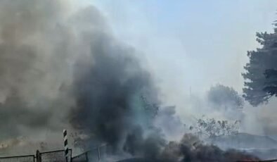 Eskişehir’de otluk alanda yangın