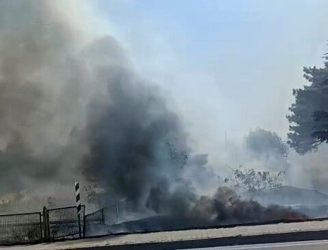 Eskişehir’de otluk alanda yangın
