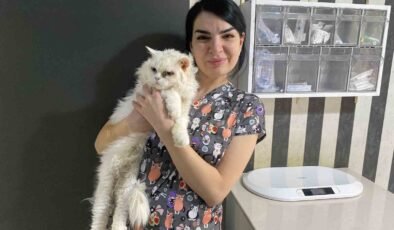Evcil hayvanlarınızı evde tek bırakırken dikkat