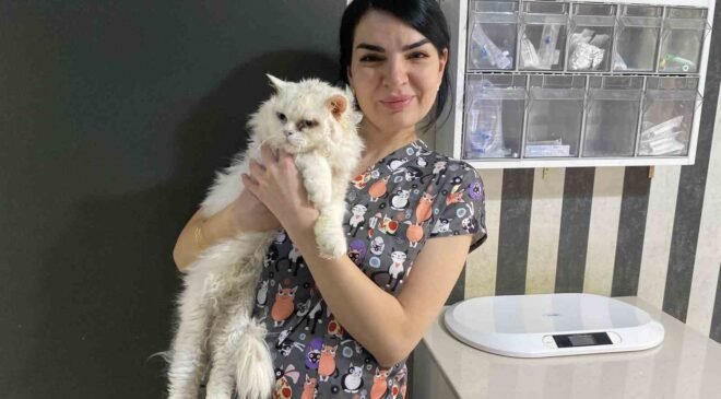 Evcil hayvanlarınızı evde tek bırakırken dikkat