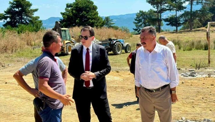 Hisarcık Çatak ve Hocalar köylerinde parke taşı çalışmaları yerinde incelendi