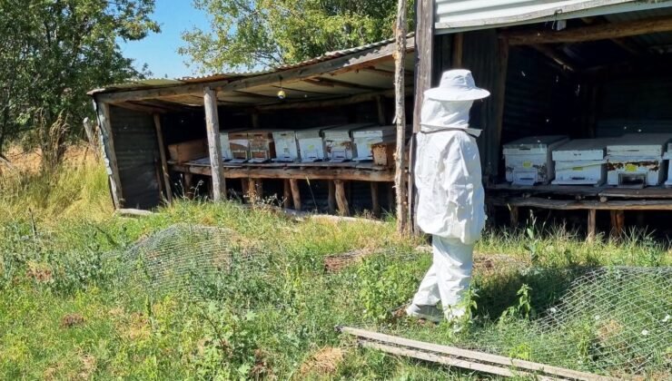 Hisarcık Karbasan köyünde arıcılık faaliyetleri denetlendi