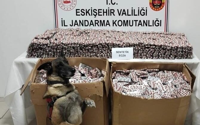 Jandarma 84 bin adet sentetik ecza hapı ele geçirdi, 3 kişi tutuklandı