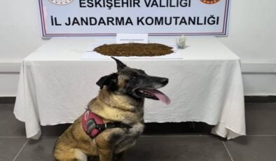 Jandarma ekiplerinden uyuşturucu operasyonu, 361 gram bonzai ele geçirildi