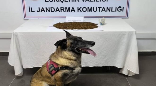 Jandarma ekiplerinden uyuşturucu operasyonu, 361 gram bonzai ele geçirildi