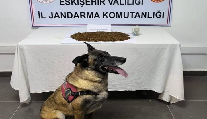 Jandarma ekiplerinden uyuşturucu operasyonu, 361 gram bonzai ele geçirildi