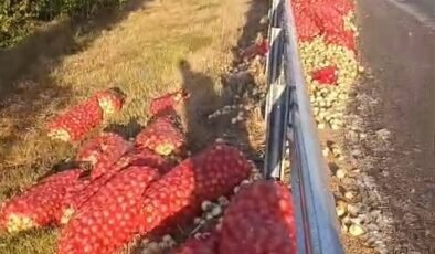 Kamyon devrildi, tonlarca soğan yola saçıldı: 2 yaralı