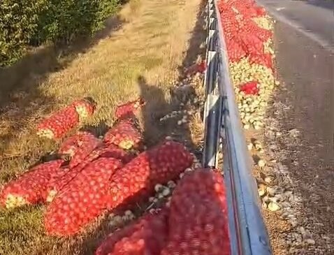 Kamyon devrildi, tonlarca soğan yola saçıldı: 2 yaralı