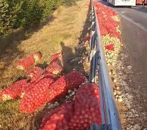Kamyon devrildi, tonlarca soğan yola saçıldı: 2 yaralı
