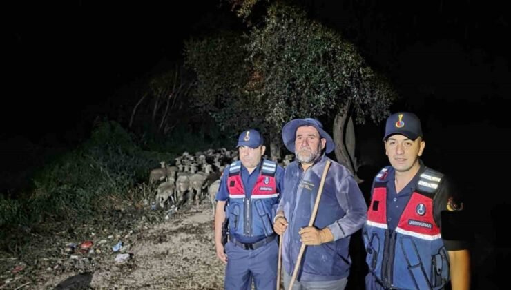 Kayıp ihbarı yapılan çoban ile 100 koyun bulundu