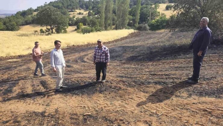 Kütahya Mustafalar köyünde yangın sonrası zarar gören alanlarda hasar tespit çalışması