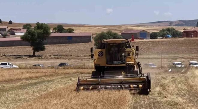 Kütahya’da 18 farklı nohut çeşidi aynı tarlada tanıtıldı