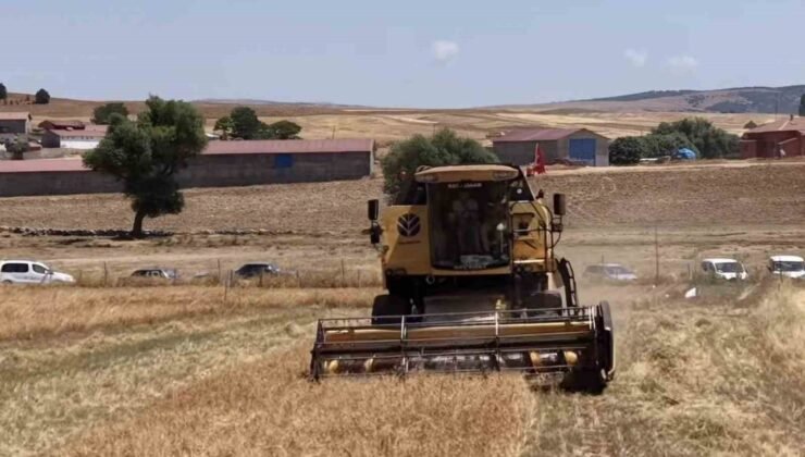 Kütahya’da 18 farklı nohut çeşidi aynı tarlada tanıtıldı