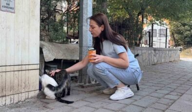 Kütahya’da kedi vahşeti: Başını ve ayaklarını kesip apartmanın önüne bıraktılar