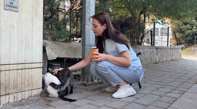 Kütahya’da kedi vahşeti: Başını ve ayaklarını kesip apartmanın önüne bıraktılar