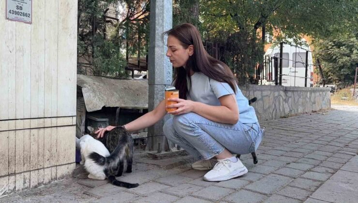 Kütahya’da kedi vahşeti: Başını ve ayaklarını kesip apartmanın önüne bıraktılar
