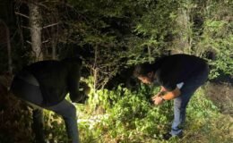 Kütahya’da ormanlık alanda silahlı yaralama: 1 kişi yakalandı