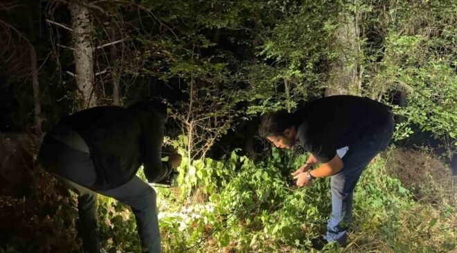 Kütahya’da ormanlık alanda silahlı yaralama: 1 kişi yakalandı
