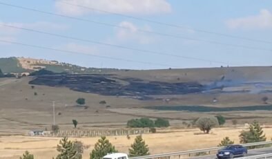 Kütahya’da otluk alanda çıkan yangın bekçi kulübesine sıçradı