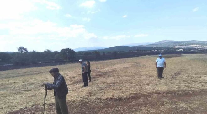 Kütahya’da yangının ardından tarım arazilerinde hasar tespiti