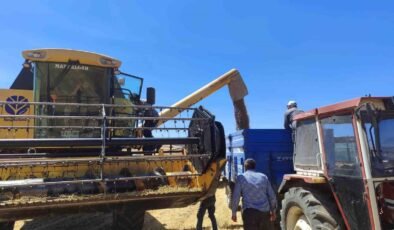 Kütahya’da yerli ve milli tohumlarda nohut hasadı gerçekleştirildi
