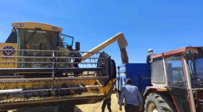 Kütahya’da yerli ve milli tohumlarda nohut hasadı gerçekleştirildi