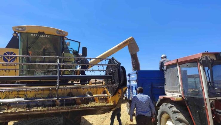 Kütahya’da yerli ve milli tohumlarda nohut hasadı gerçekleştirildi