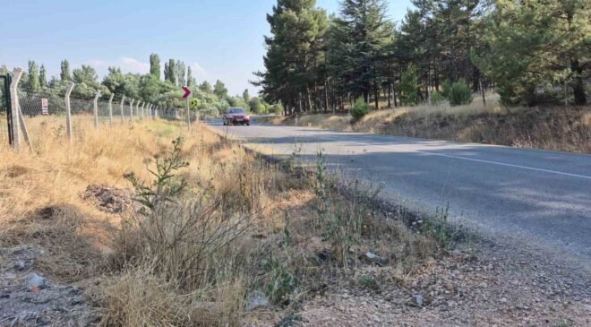 Mahalle muhtarından yol kenarlarındaki kurumuş otlar için ’yangın’ uyarısı