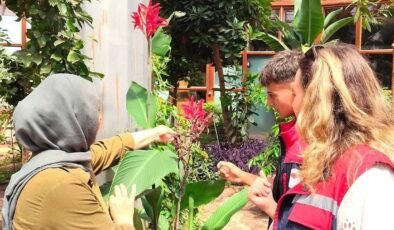 Öğrencilerden Tıbbi ve Aromatik Bitkiler Merkez Müdürlüğünü teknik gezi