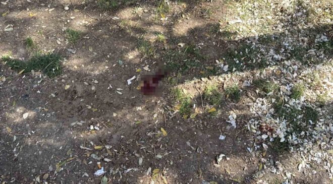 Parkta bir kişiyi döner bıçağıyla yaralayan saldırgan yakalandı