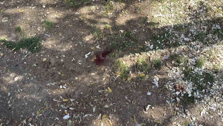 Parkta bir kişiyi döner bıçağıyla yaralayan saldırgan yakalandı