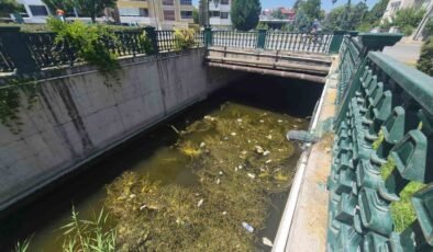 Porsuk Çayı’ndaki çöp kirliliği dikkat çekti